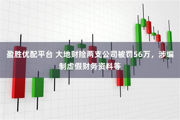 盈胜优配平台 大地财险两支公司被罚56万，涉编制虚假财务资料等